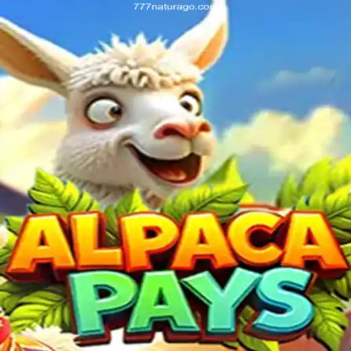 Experience the Exciting World of AlpacaPays
